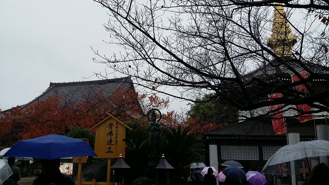 安居神社と一心寺